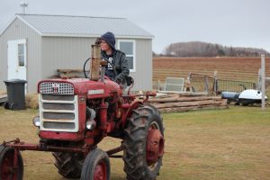 Shelley on Farmall