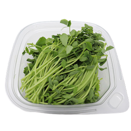 Pea Microgreens