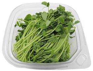 Pea