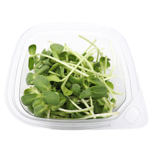 Sunflower Microgreens