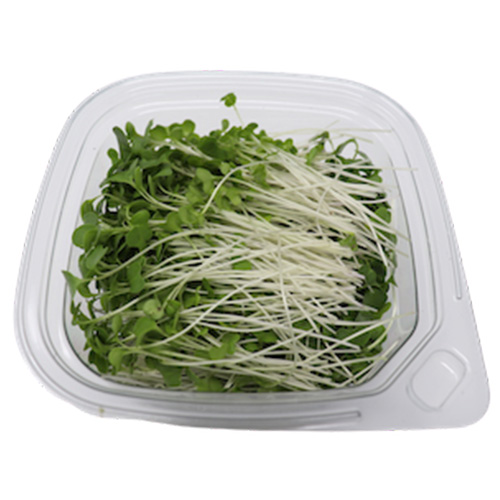 Broccoli Microgreens