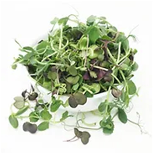 crunchy mix microgreens