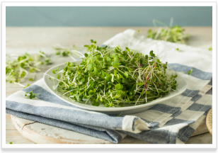 salads